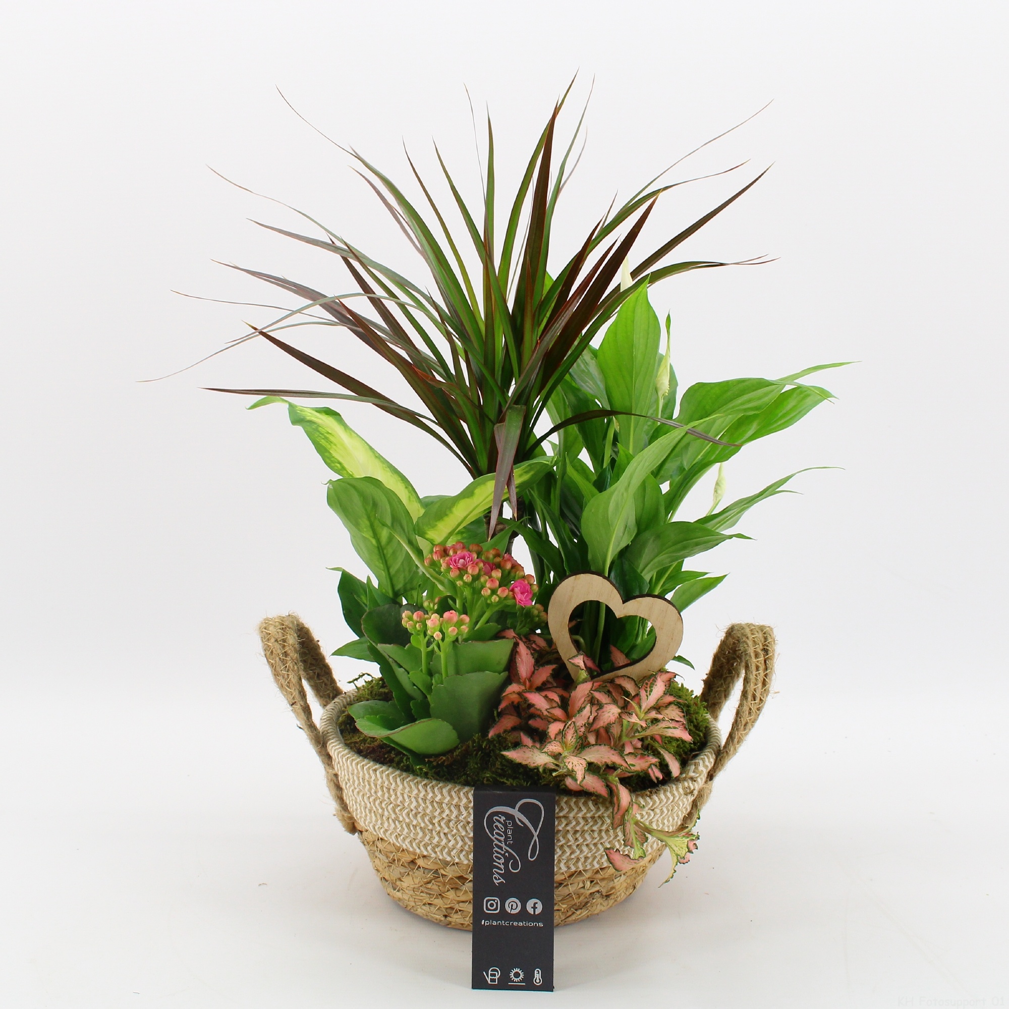 FDRM-2619RZ Romantic Fundamentals, D 21