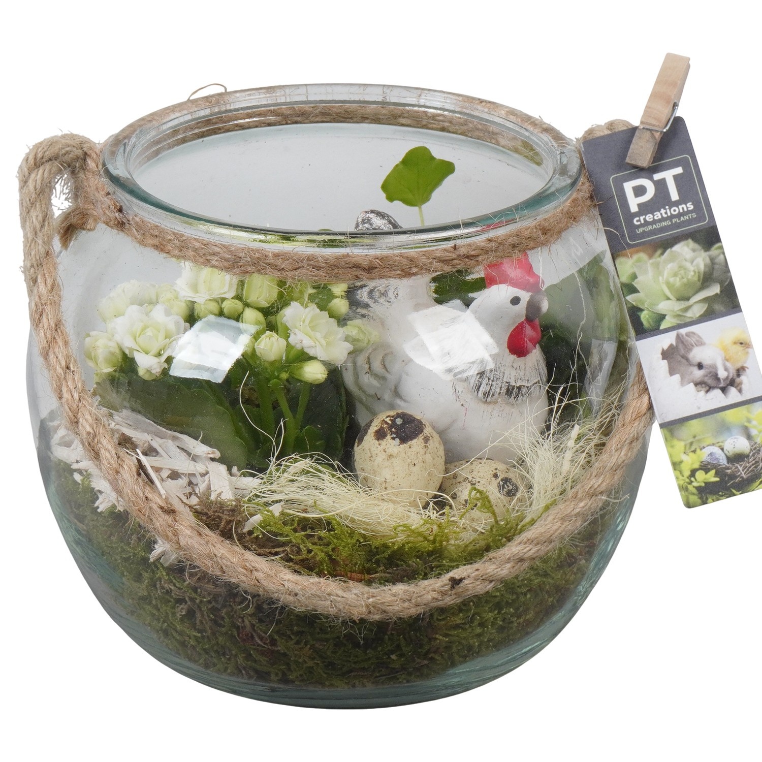 PTPG9314 Arrangement Easter in glas vaas met touw, D 19