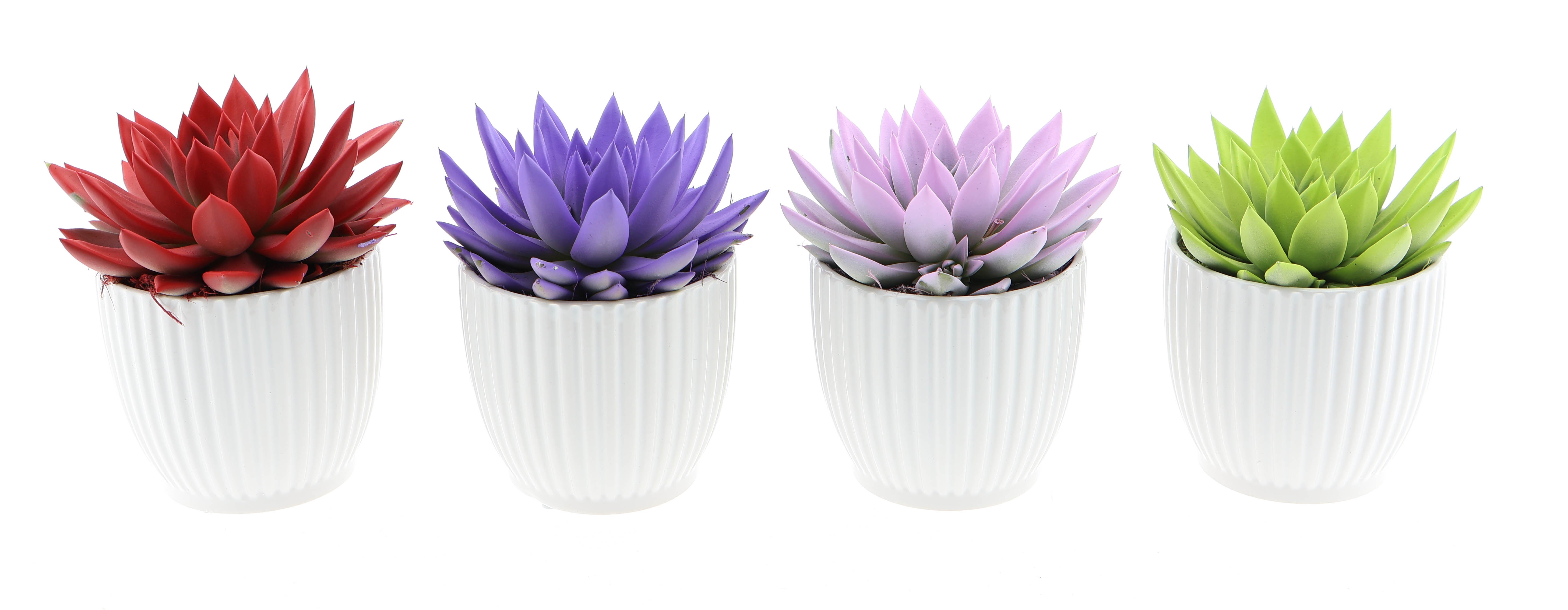 Design pot rainbow mix, D 12