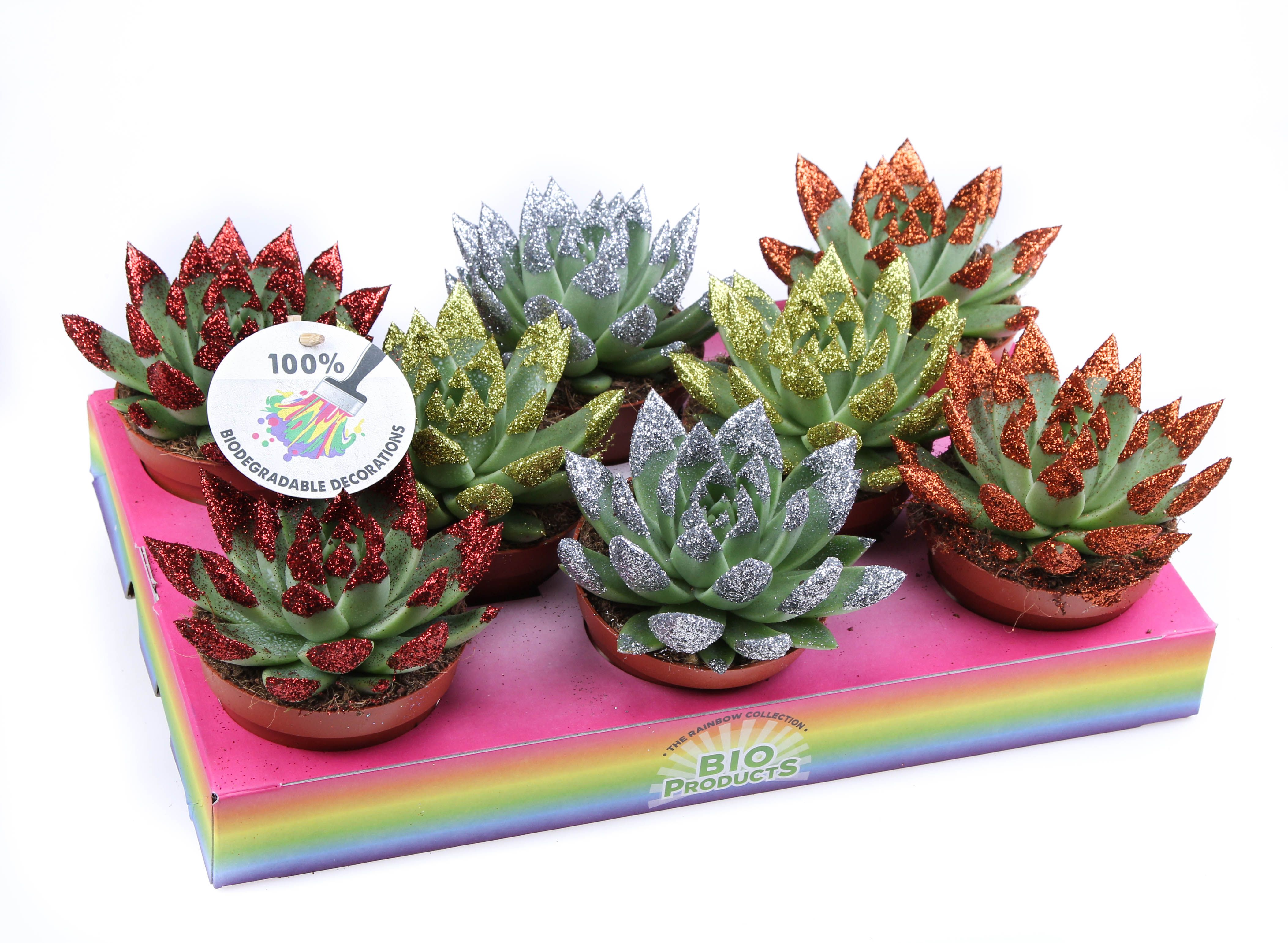 Miranda Bio glittertips, D 10,5