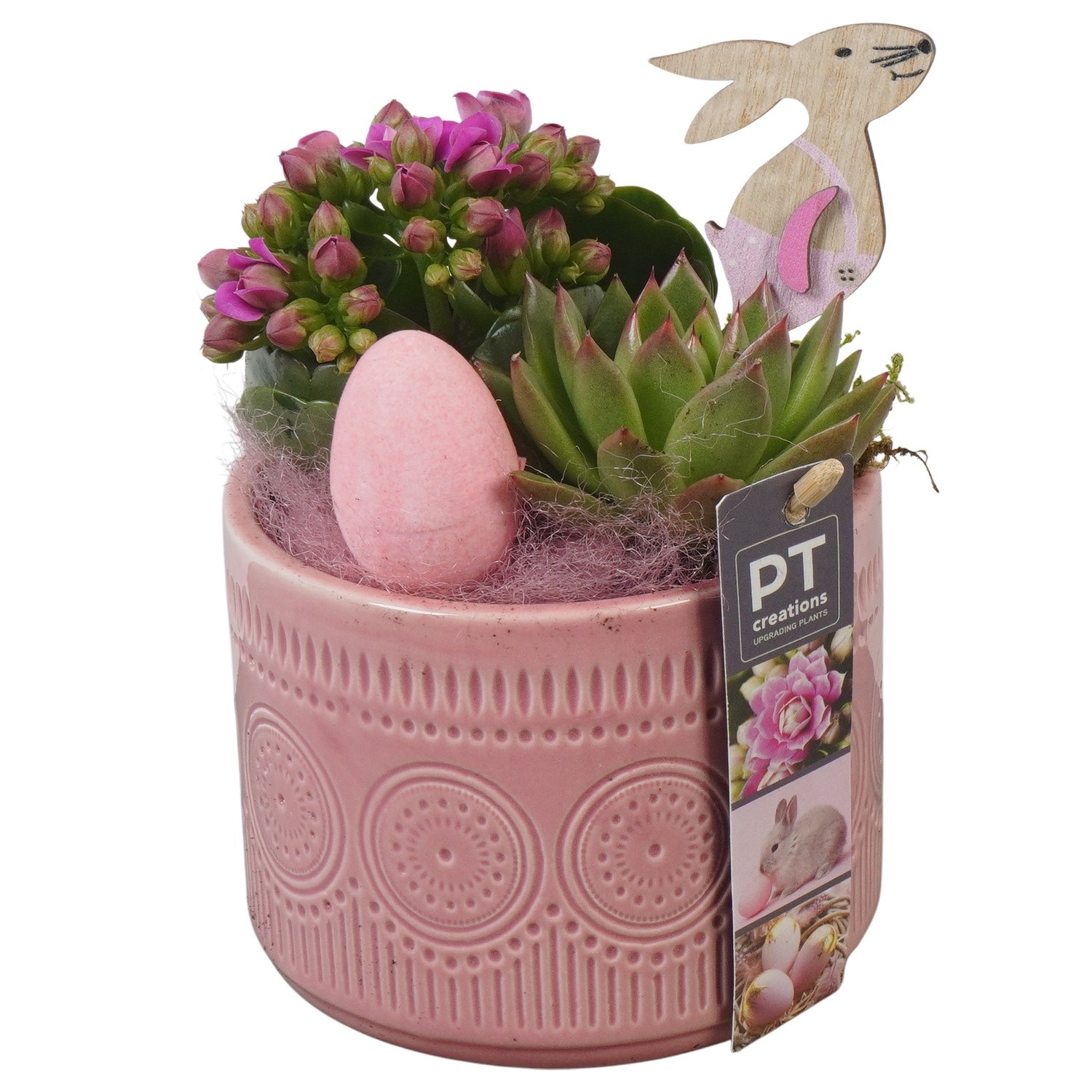 PTPB6468 Arrangement Easter in keramiek pot, D 12