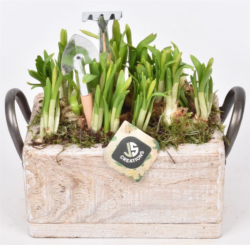 Hout rechthoek met handvat 20x13cm, D 20