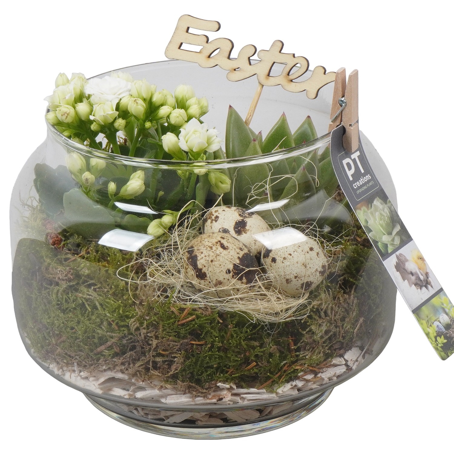 PTPG9368 Arrangement Easter in glas vaas, D 18