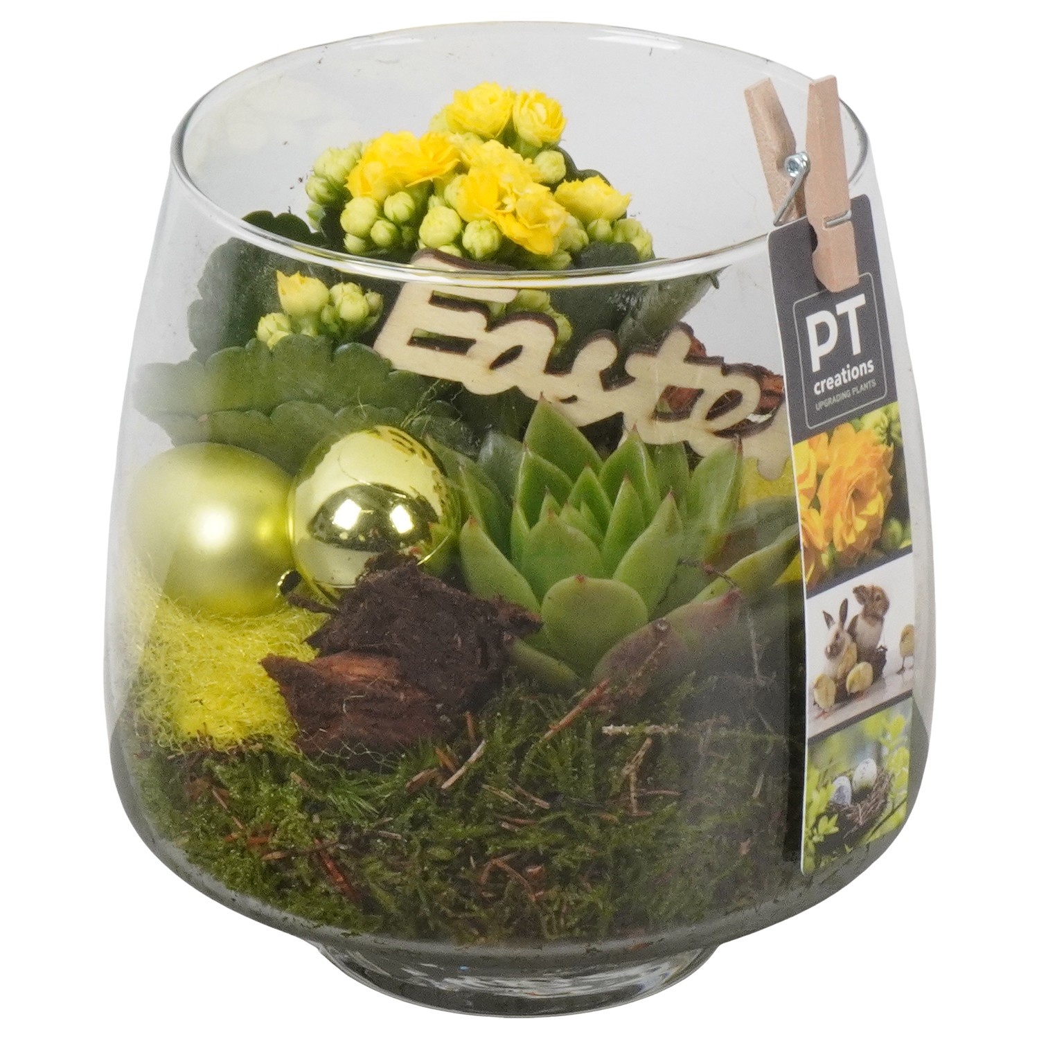 PTPG9372 Arrangement Easter in glas vaas, D 14