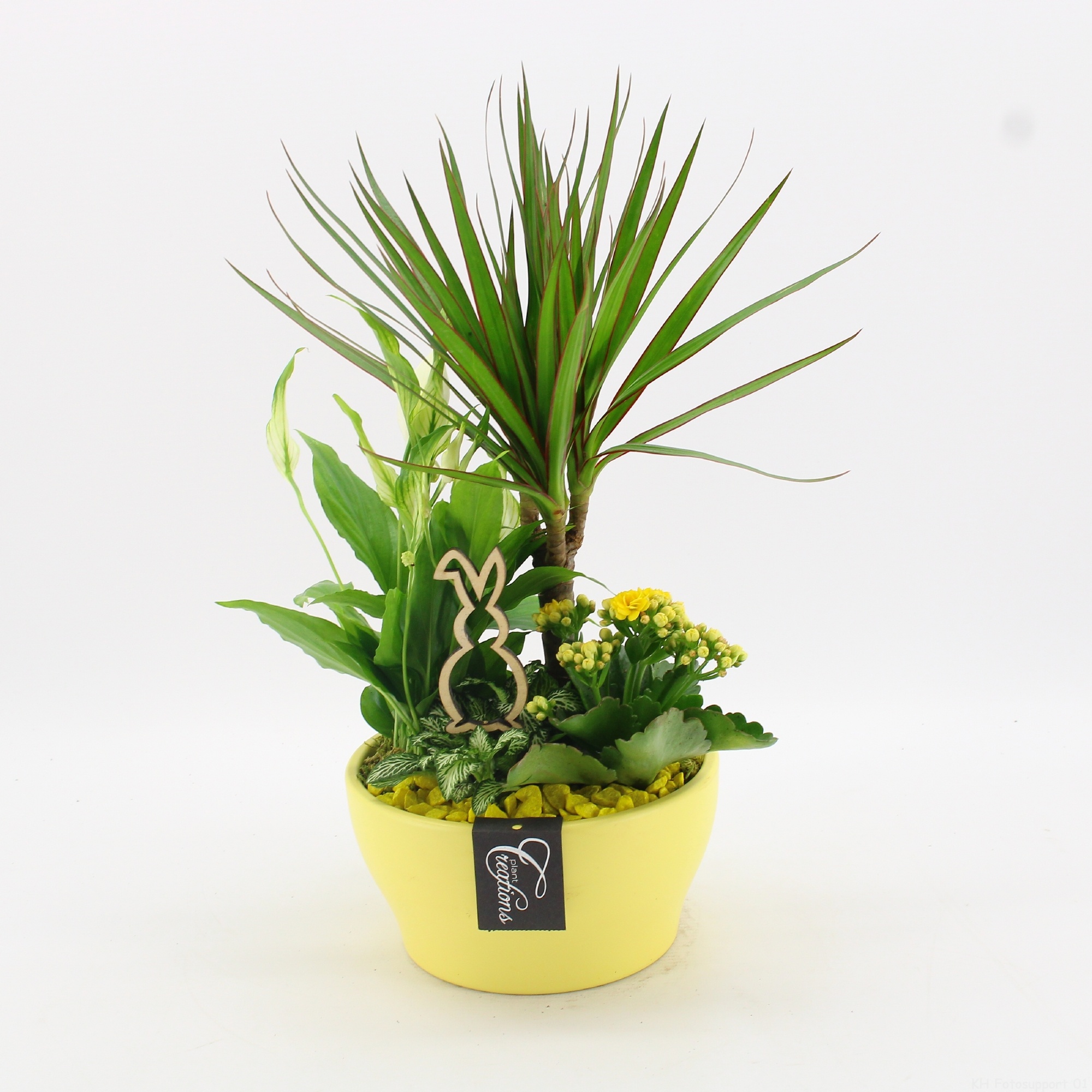 FDPS-2609 Easter Fundamentals, D 19