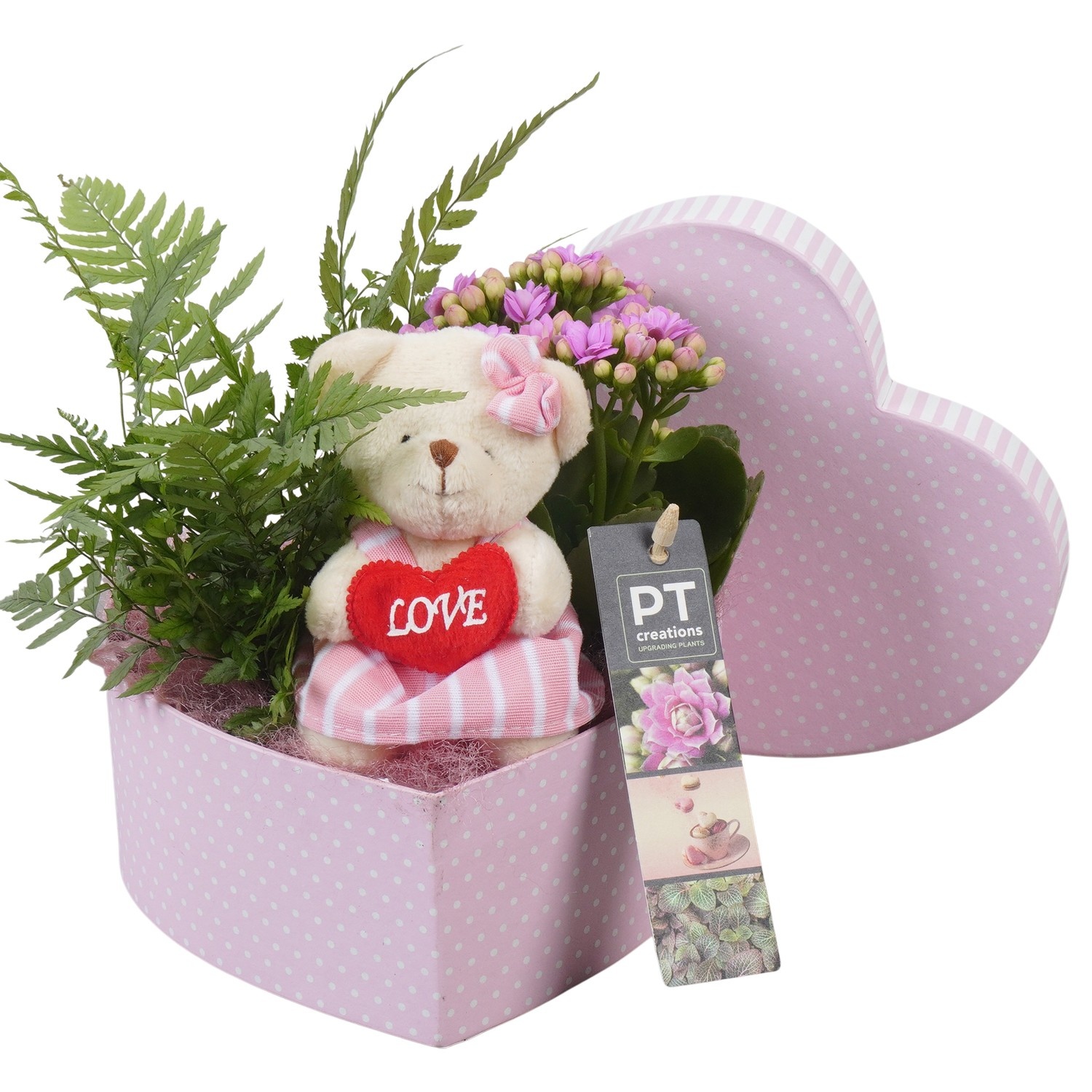 PTVMB2366 Arrangement Valentines-Mothersday in karton hart, D 16