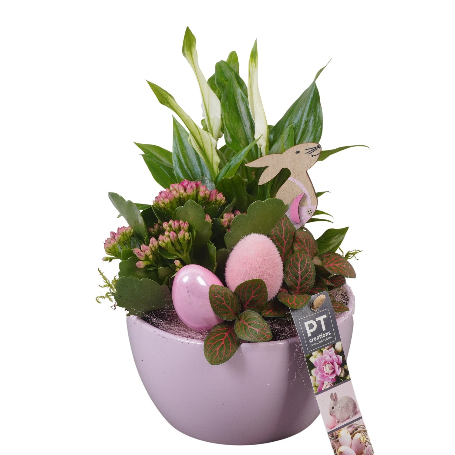 PTPB6521 Arrangement Easter in keramiek schaal, D 16