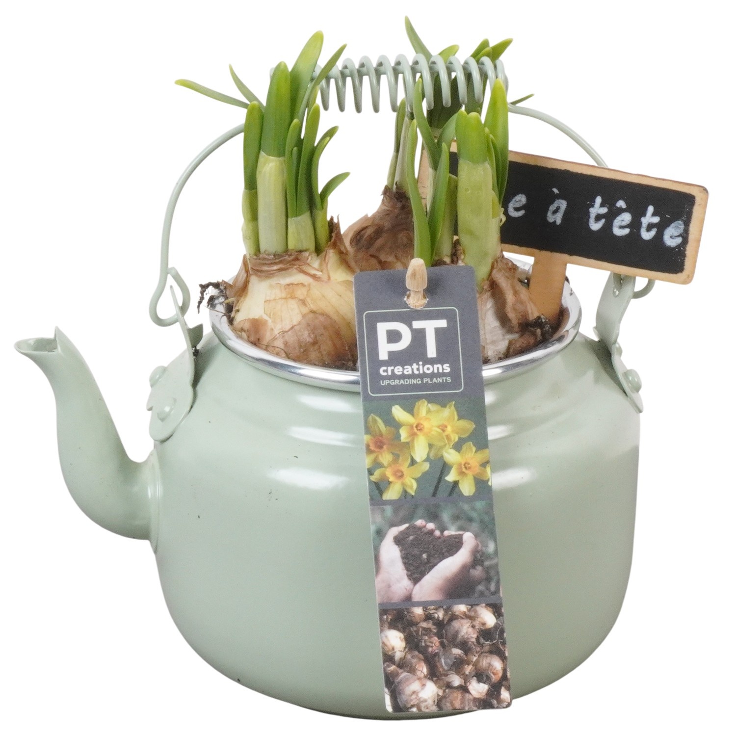 PTN8560 Arrangement Narcissus in zink pot, D 10