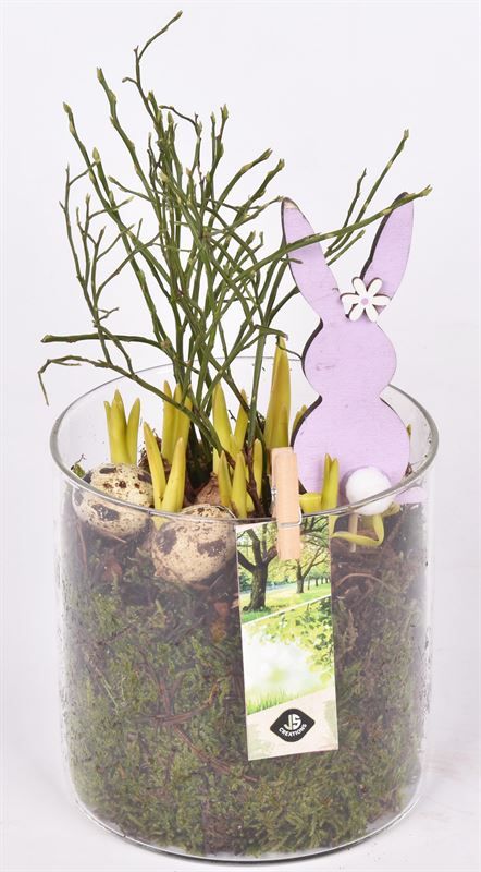 Glas cilinder 13cm, D 13