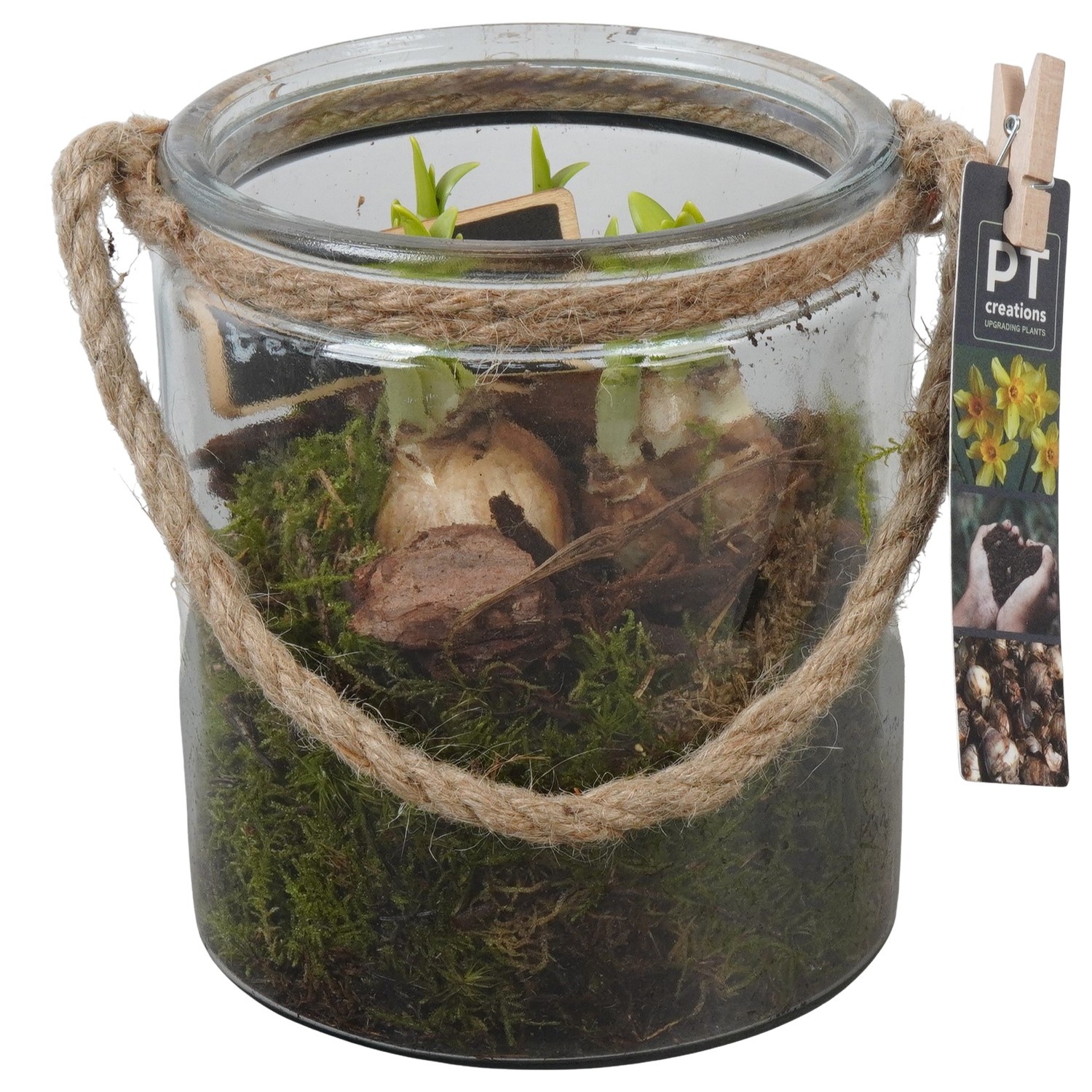 PTN8741 Arrangement Narcissus in glazen vaas, D 14