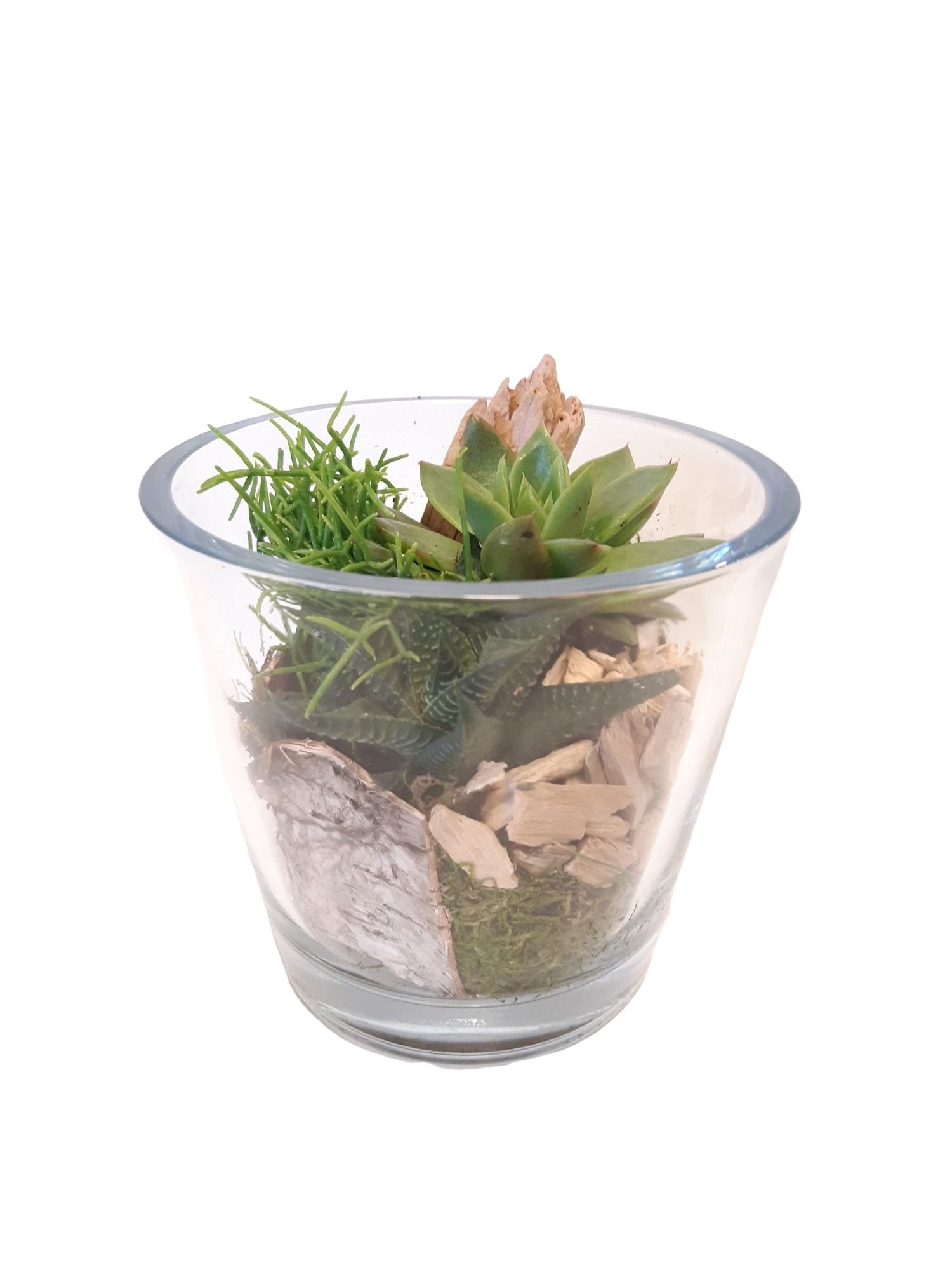 913 GMX / GCI14GMX Cil glas dik mini groenmix + deco naturel, D 14