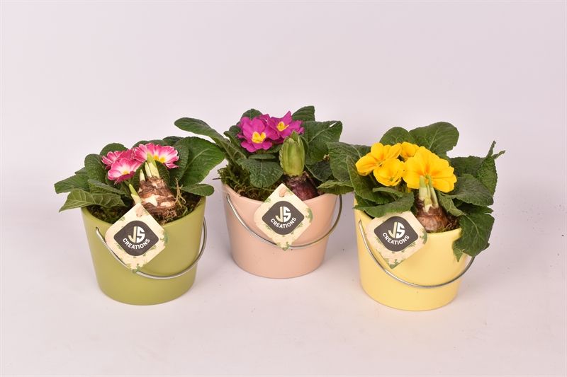 Keramiek kl.mix 12cm, D 12