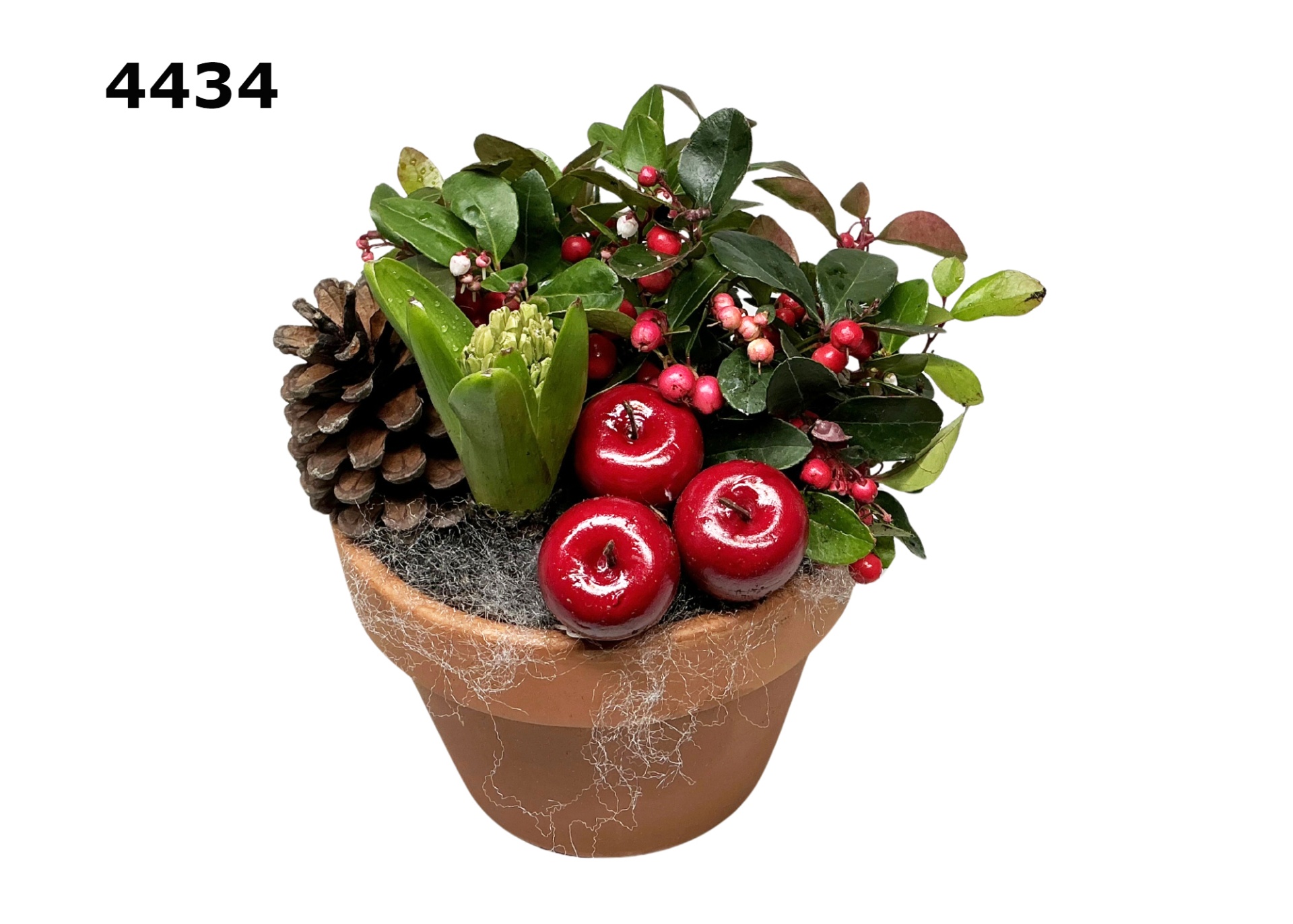 Kerst roodsteen azaleapot L, D 17 cm