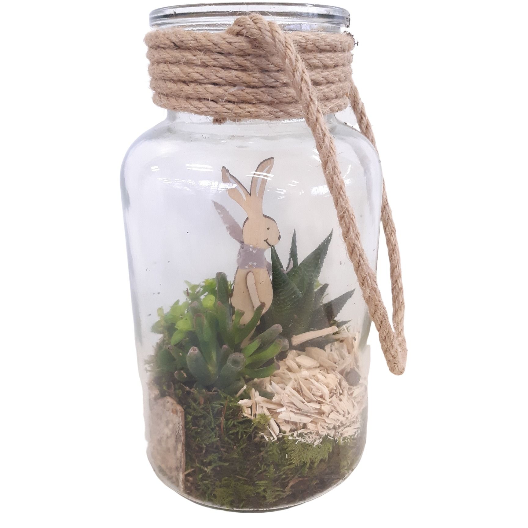 714PAS Fles / Terrarium 14/26 minIgroenmix PASEN, D 14