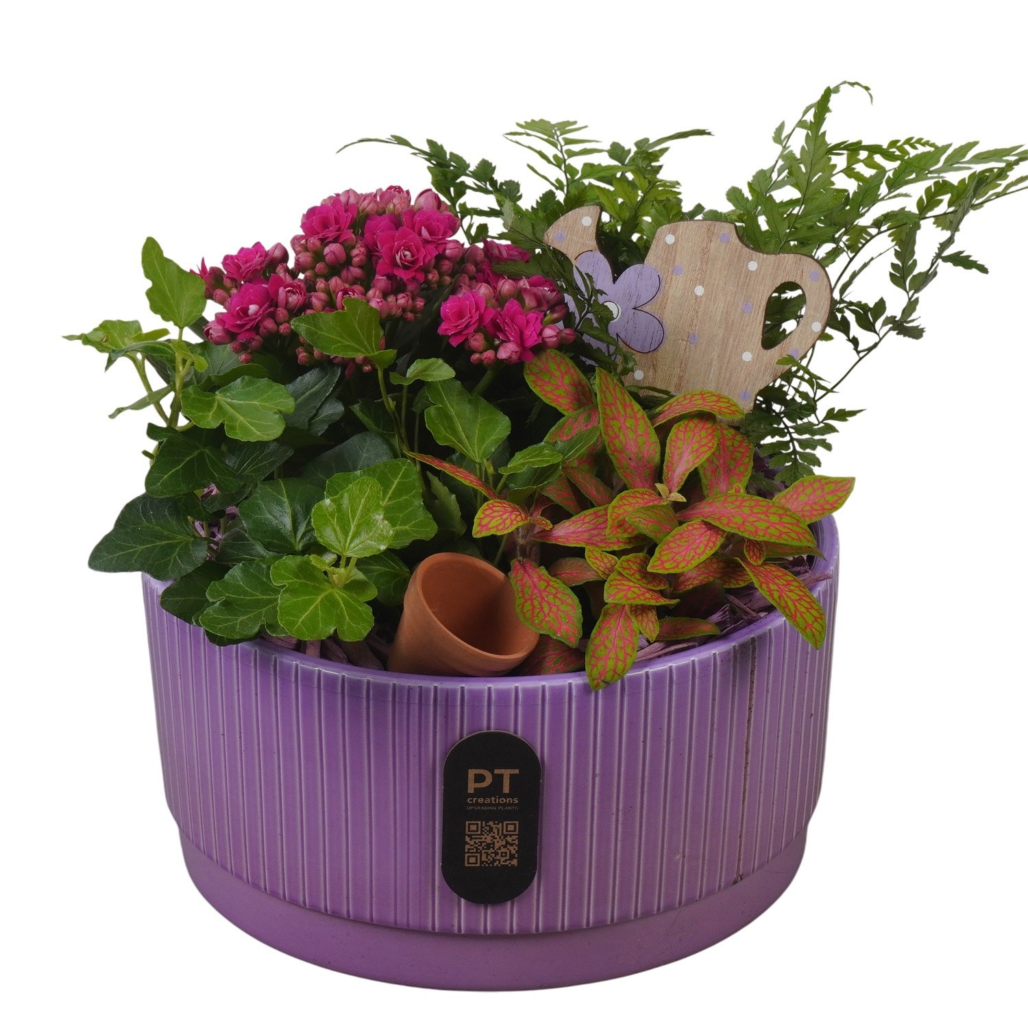 PTIB5116 Arrangement Indoor in keramiek schaal, D 19