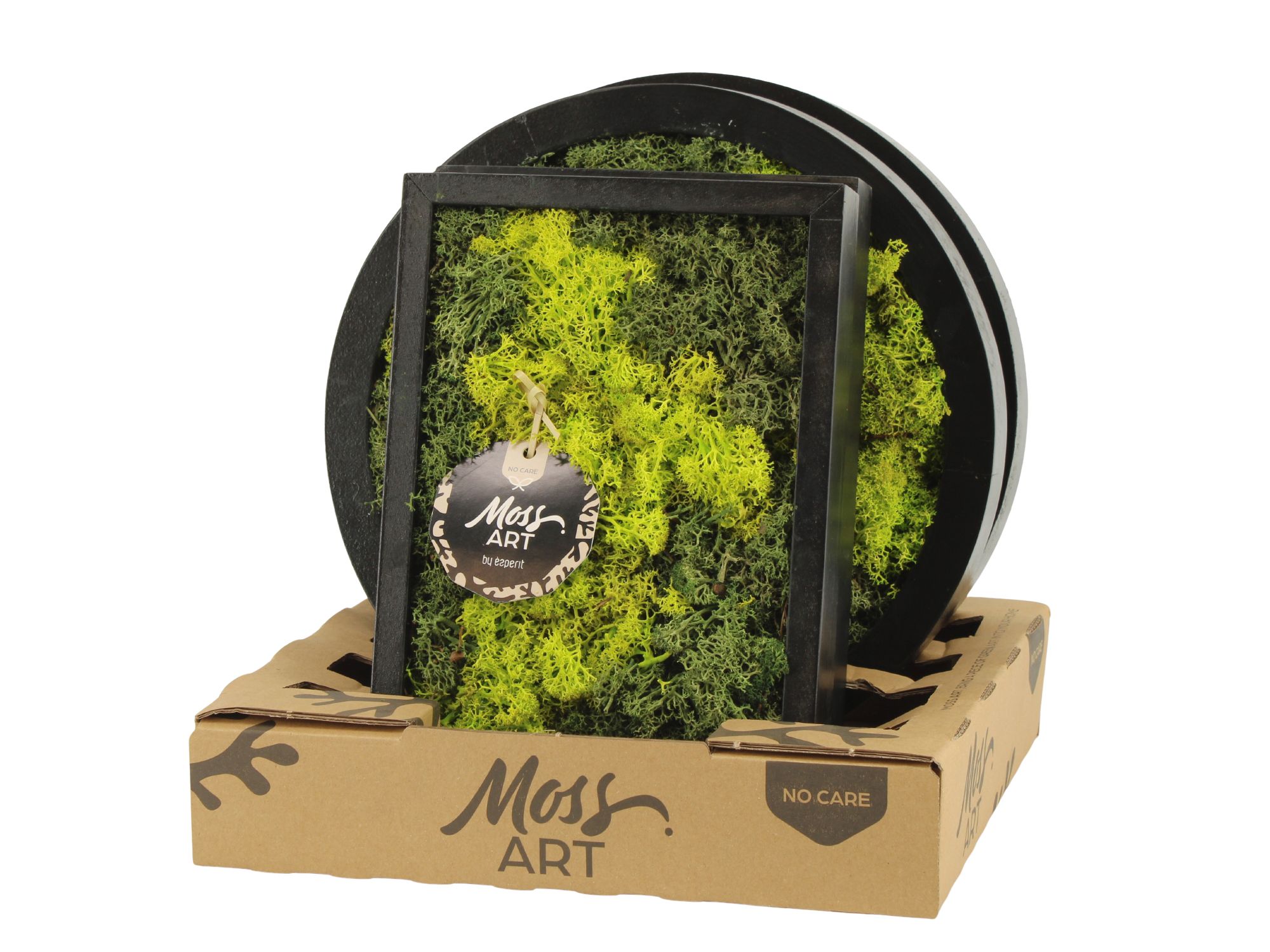 90786: Moss Art Mix Rectangular D24 & Round D27, D 27