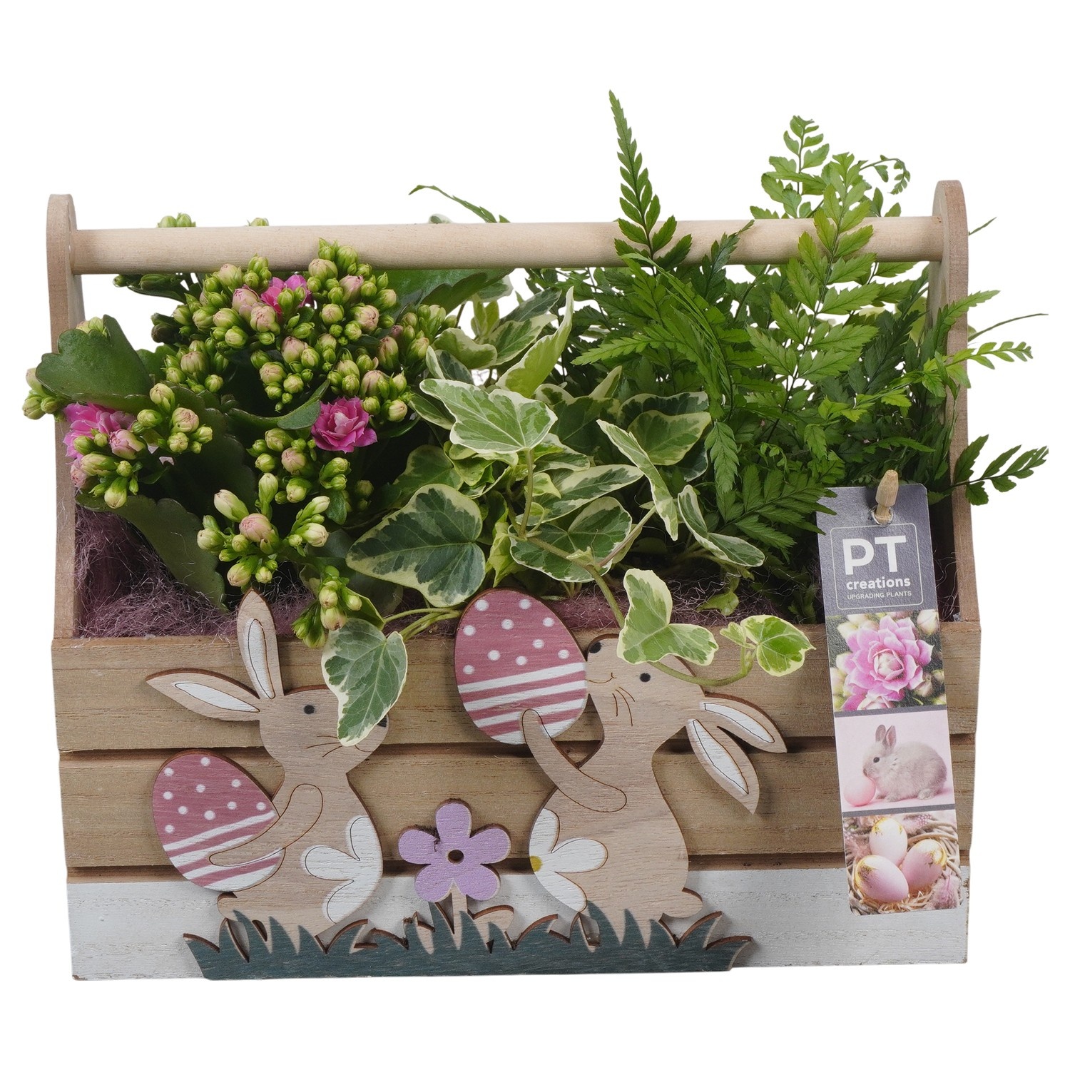 PTPB6579 Arrangement Easter in houten bak, D 24