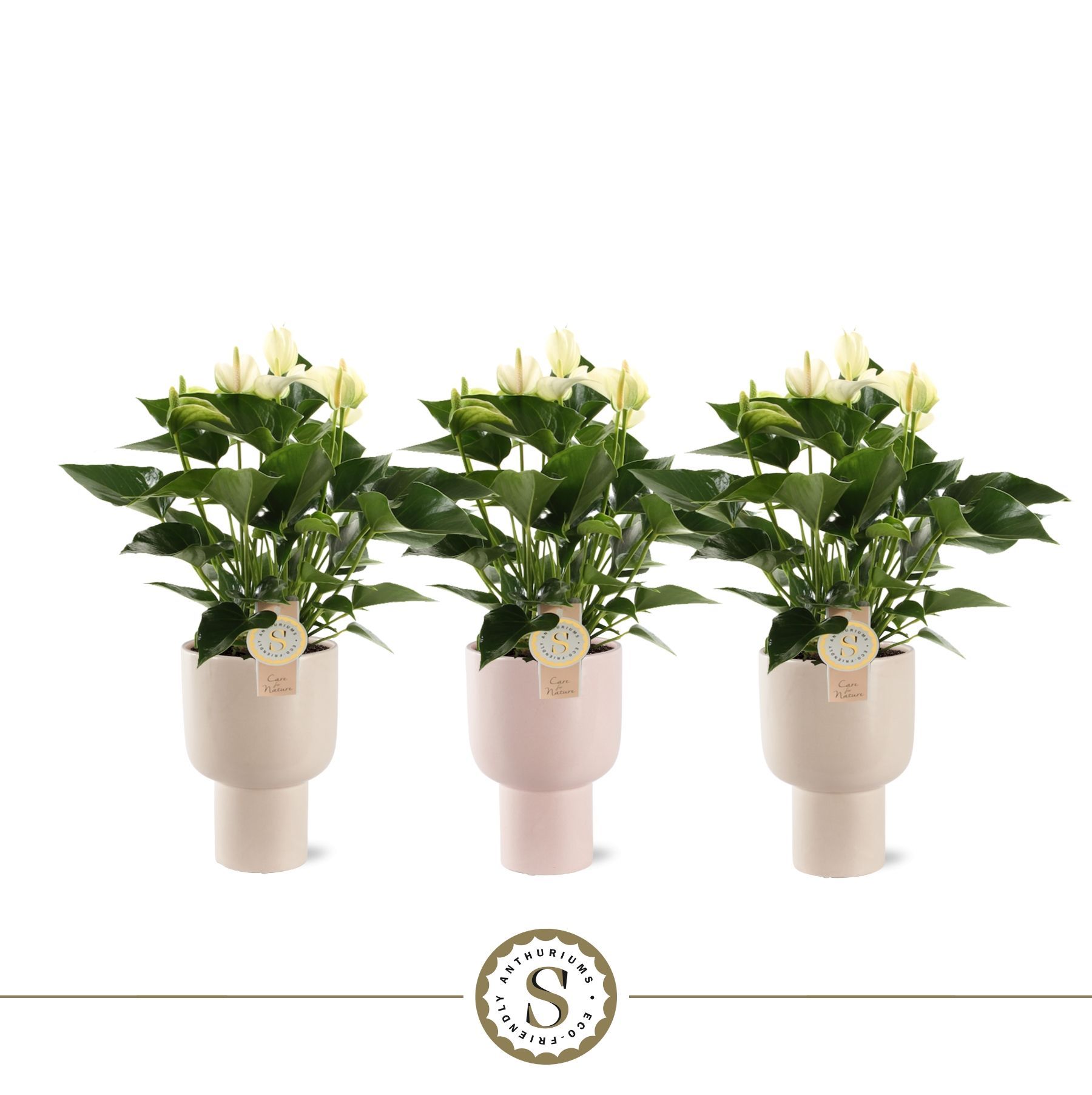 Roma Keramiek White, D 12