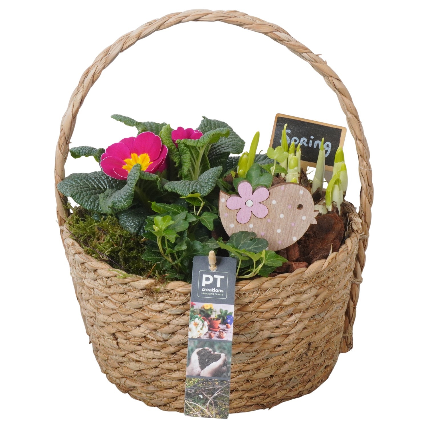 PTBM3807 Arrangement Flower Bulbs Mix in rieten mand, D 22