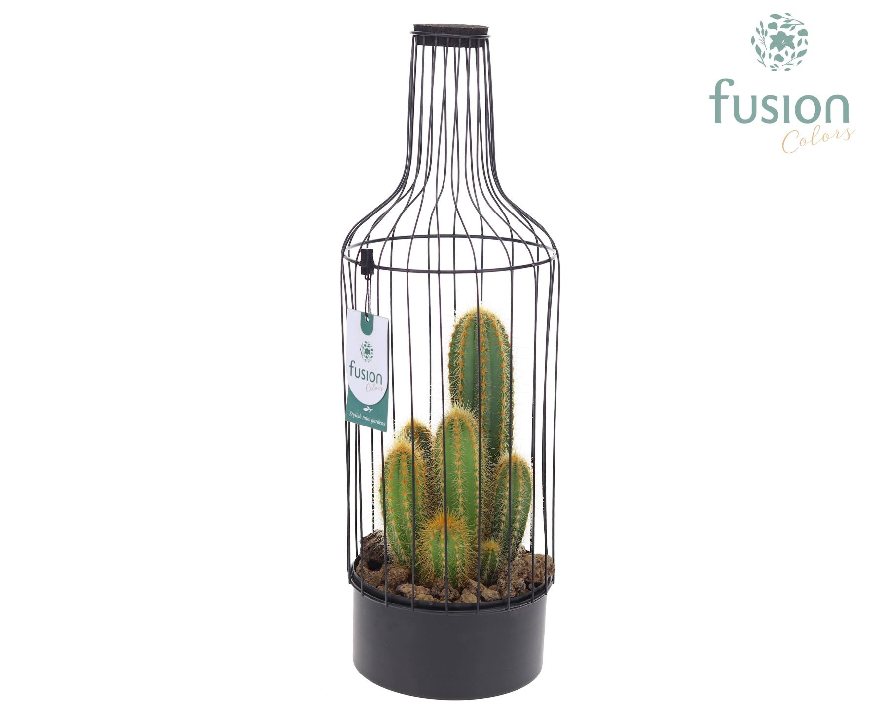 Metaal fles zwart Large met Cactussen, D 17