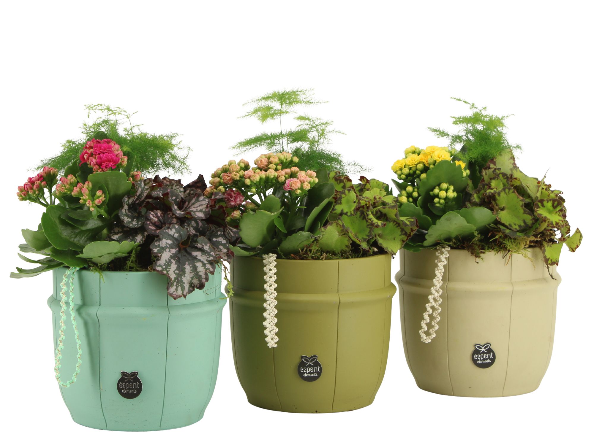 11611: Consideration arrangement, D 14