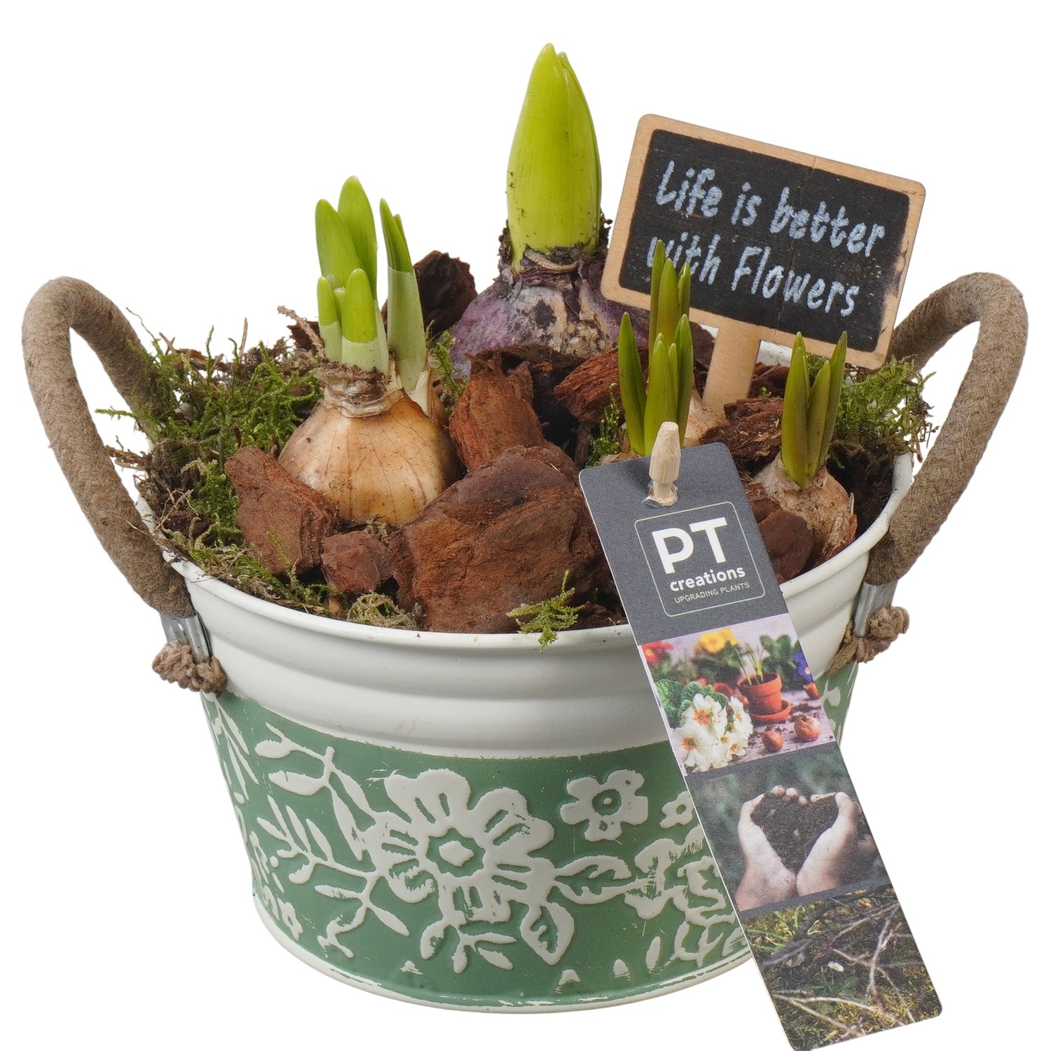 PTBM3755 Arrangement Flower Bulbs Mix in metalen pot, D 15