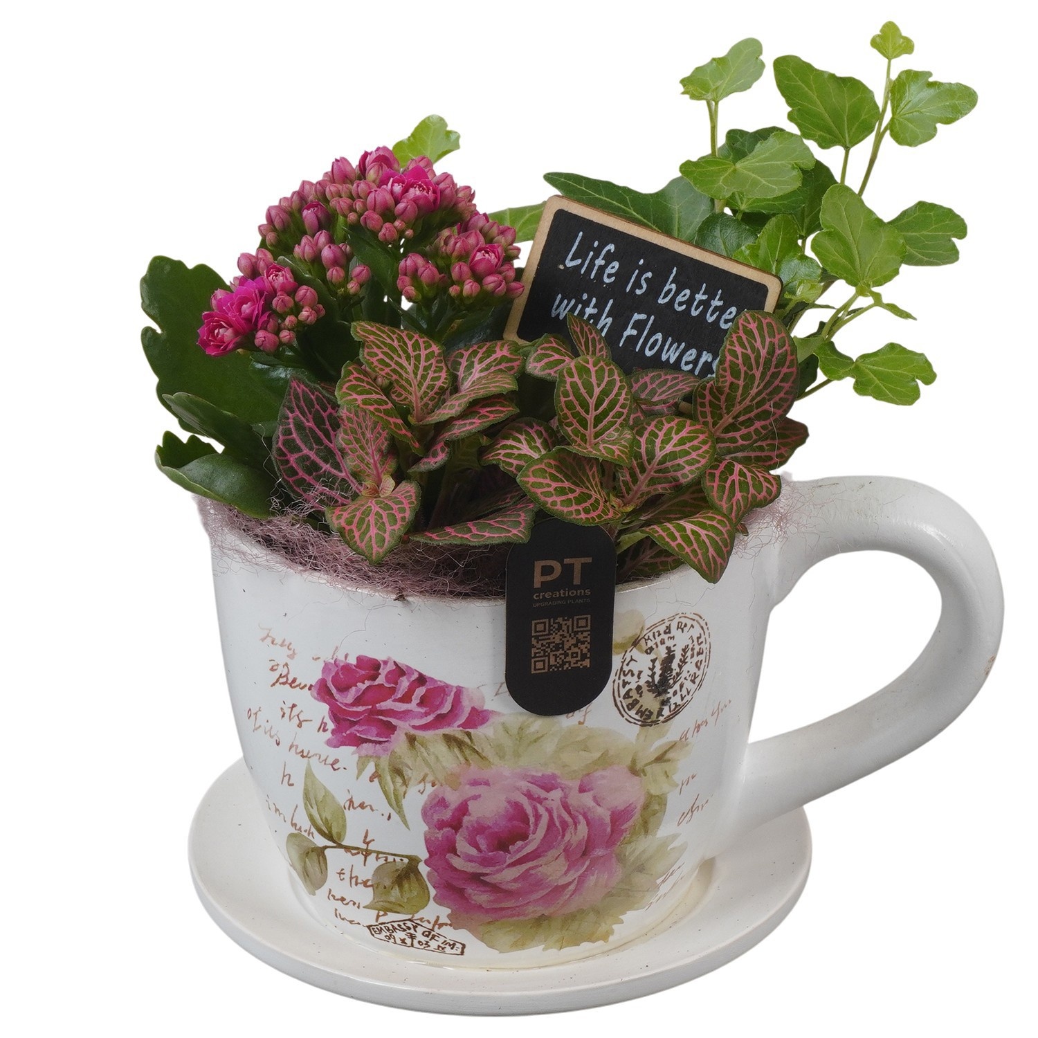 PTIB5201 Arrangement Indoor in keramiek kop en schotel, D 14