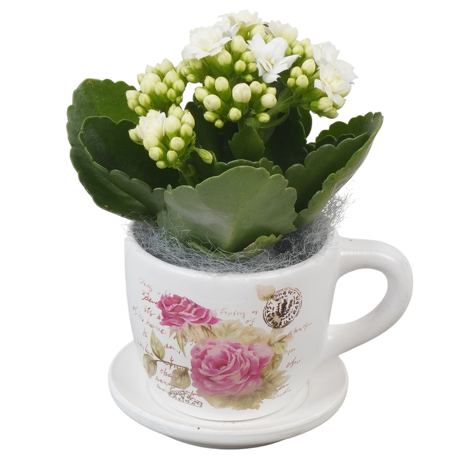 PTVMB2261 Arrangement Valentines-Mothersday in keramiek kop en schotel, D 8