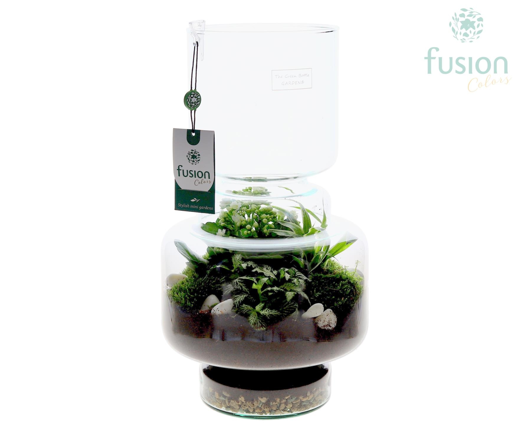 Green Bottle Lotte Large met arrangement, D 22