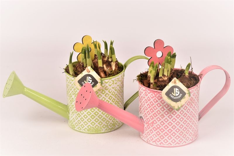 Zink gieter groen/roze 12cm, D 12