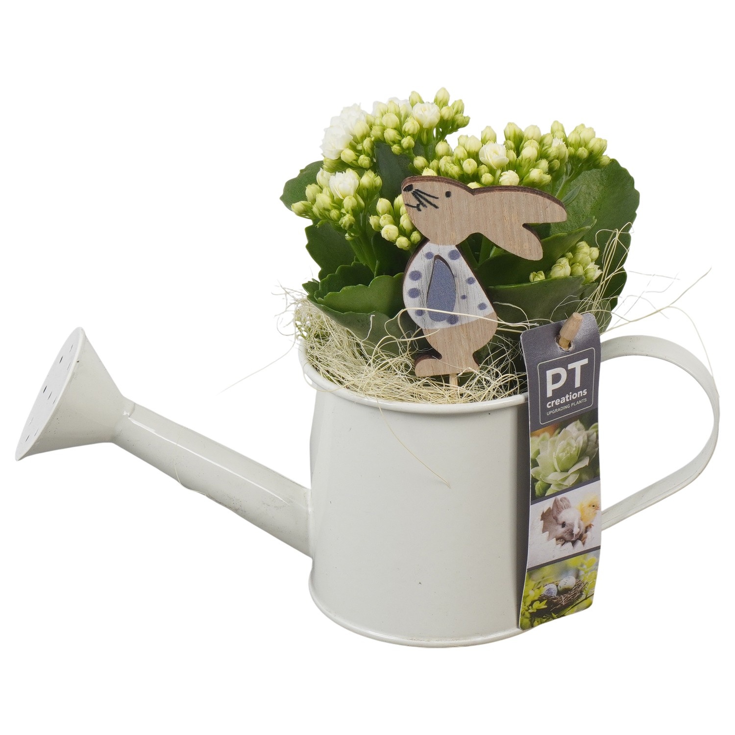 PTPB6429 Arrangement Easter in zink gieter, D 9