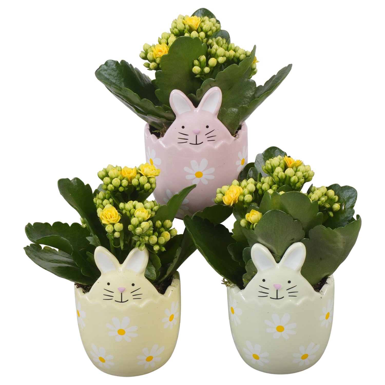 PTPB6623 Arrangement Easter in keramiek konijn, D 7