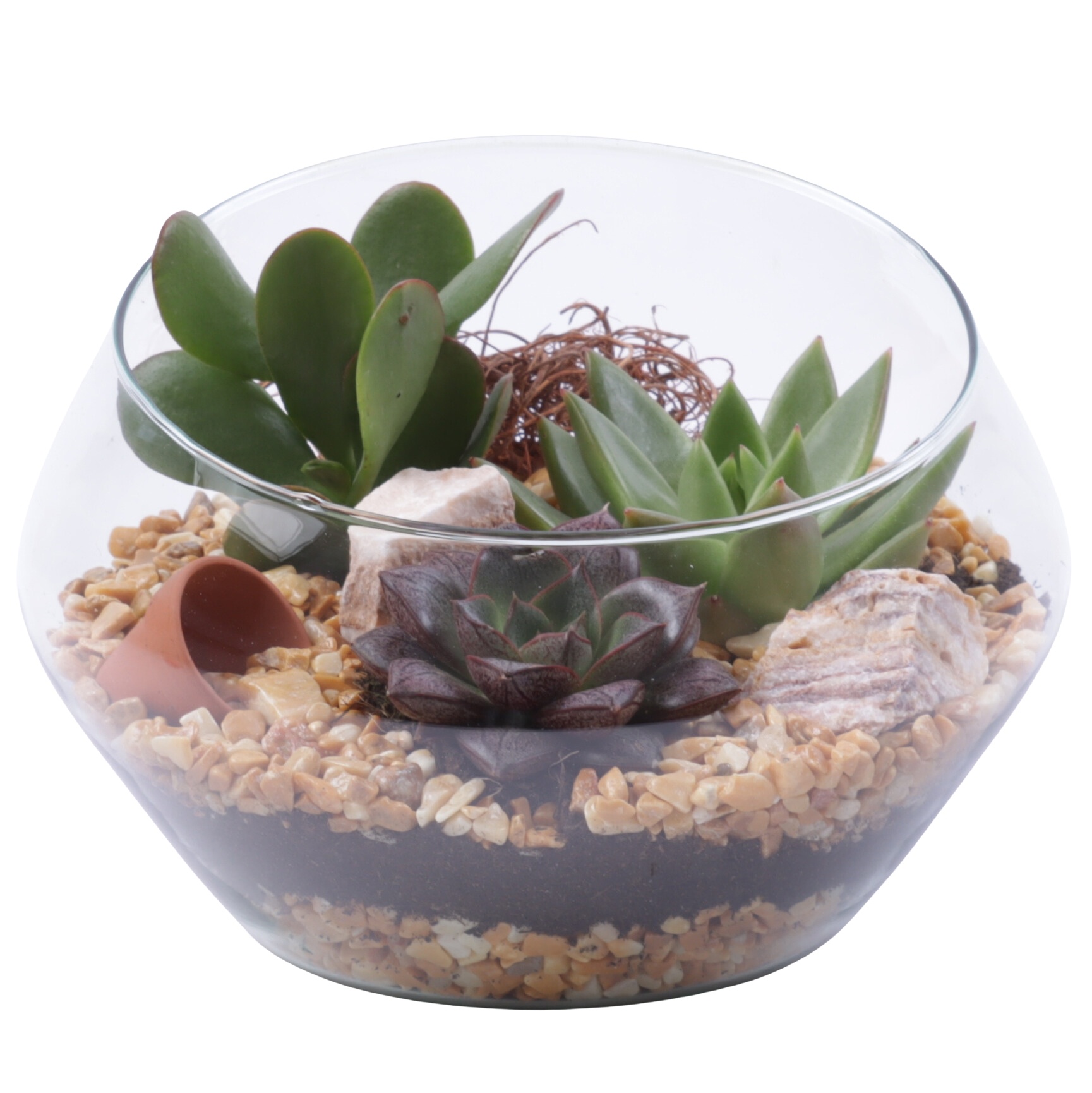 Yearround Arr. Succulent Glass Oblique UFO Vase Ø20cm 3PP, D 20