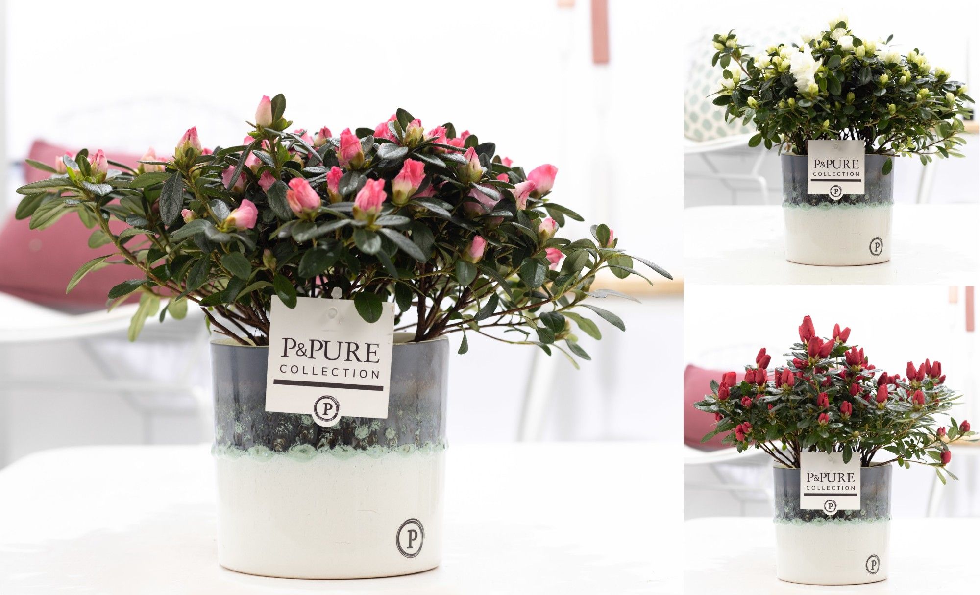 Azalea P&PURE Collection Illusion keramiek, D 12