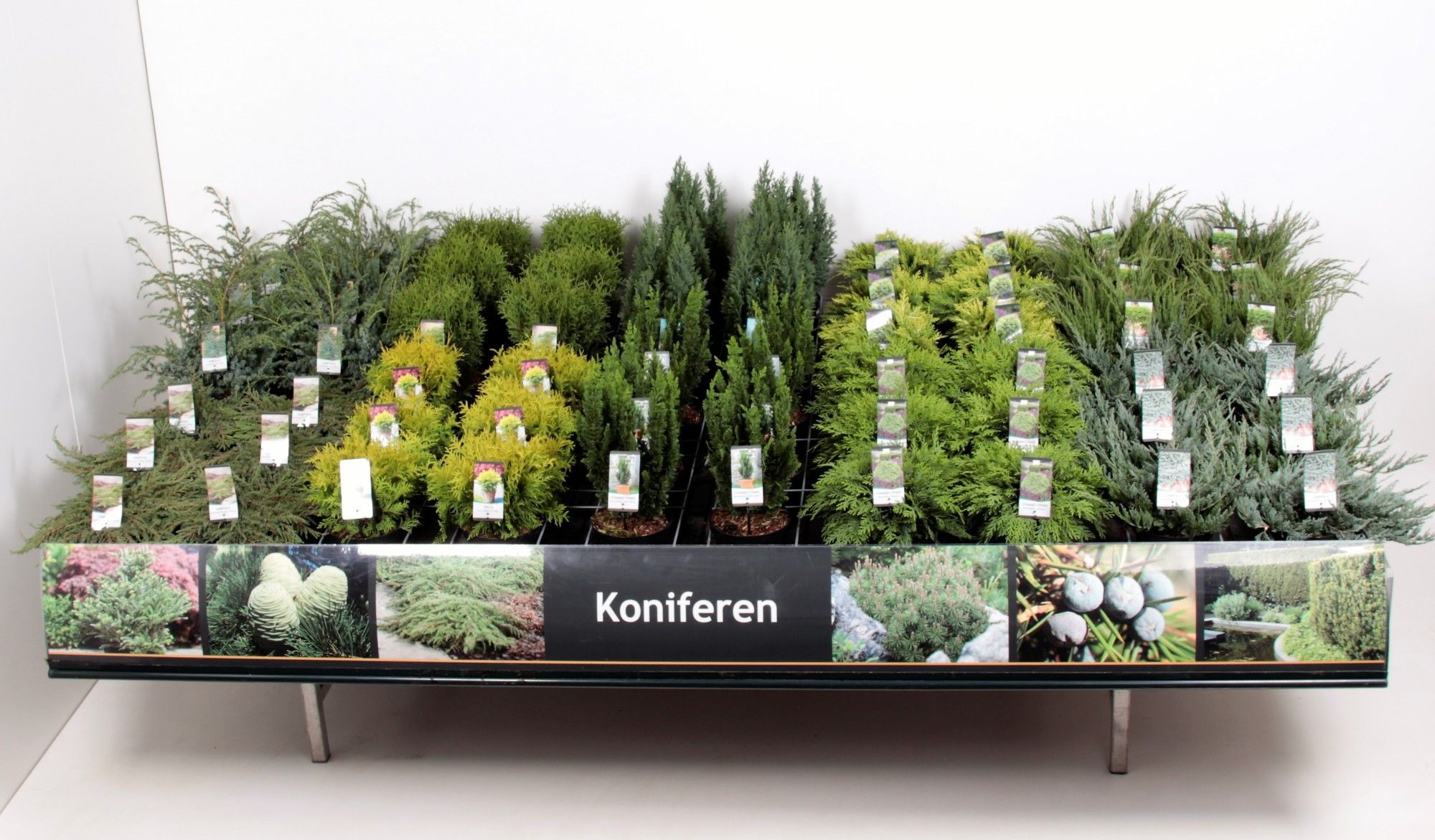 Tafelconcept Basisassortiment C3 (mix kan afwijken van foto), D 19