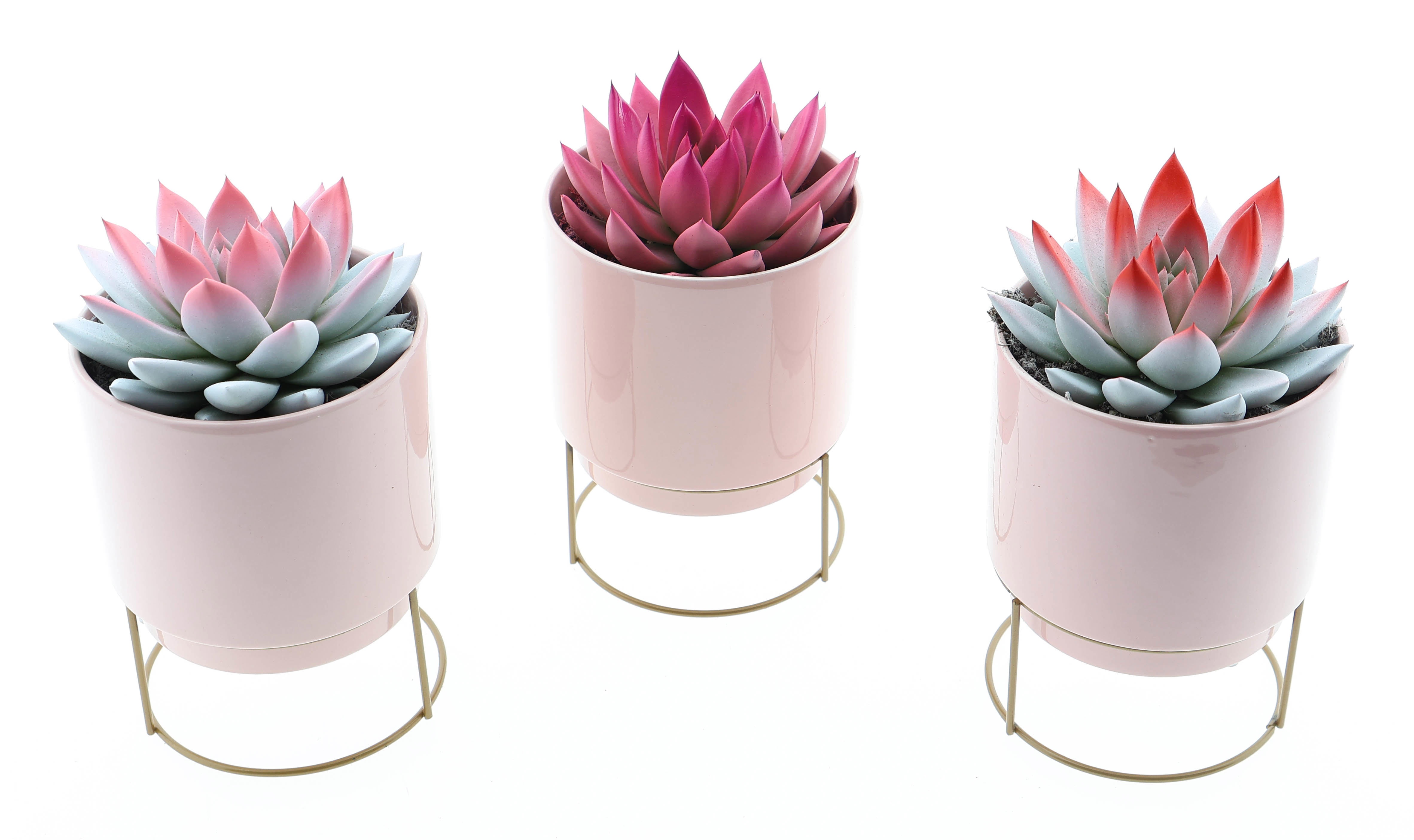 Pot love deluxe 2 colors, D 12