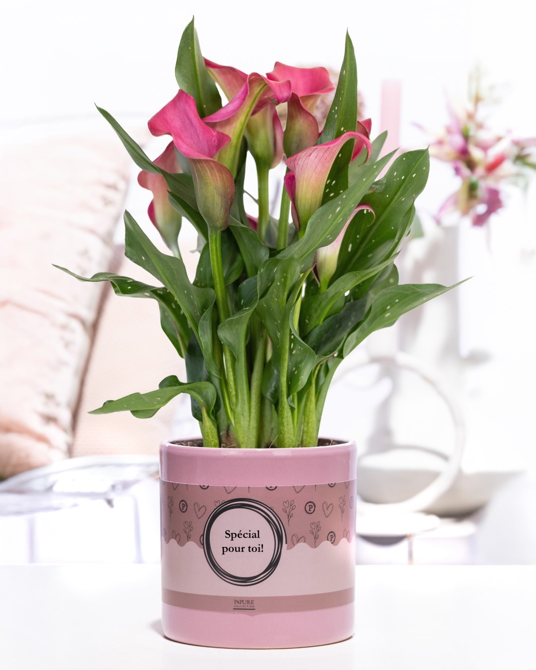 Zantedeschia pink in P&P cadeau concept: SPECIAL POUR TOI!, D 12