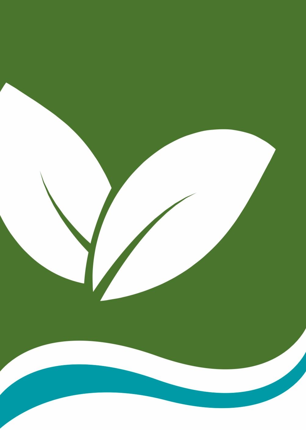 Laburnum wat. 'Vossi', D 29