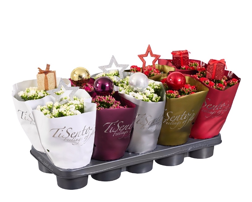 Calandiva Kerstmix + glitter en kerststekers, D 12