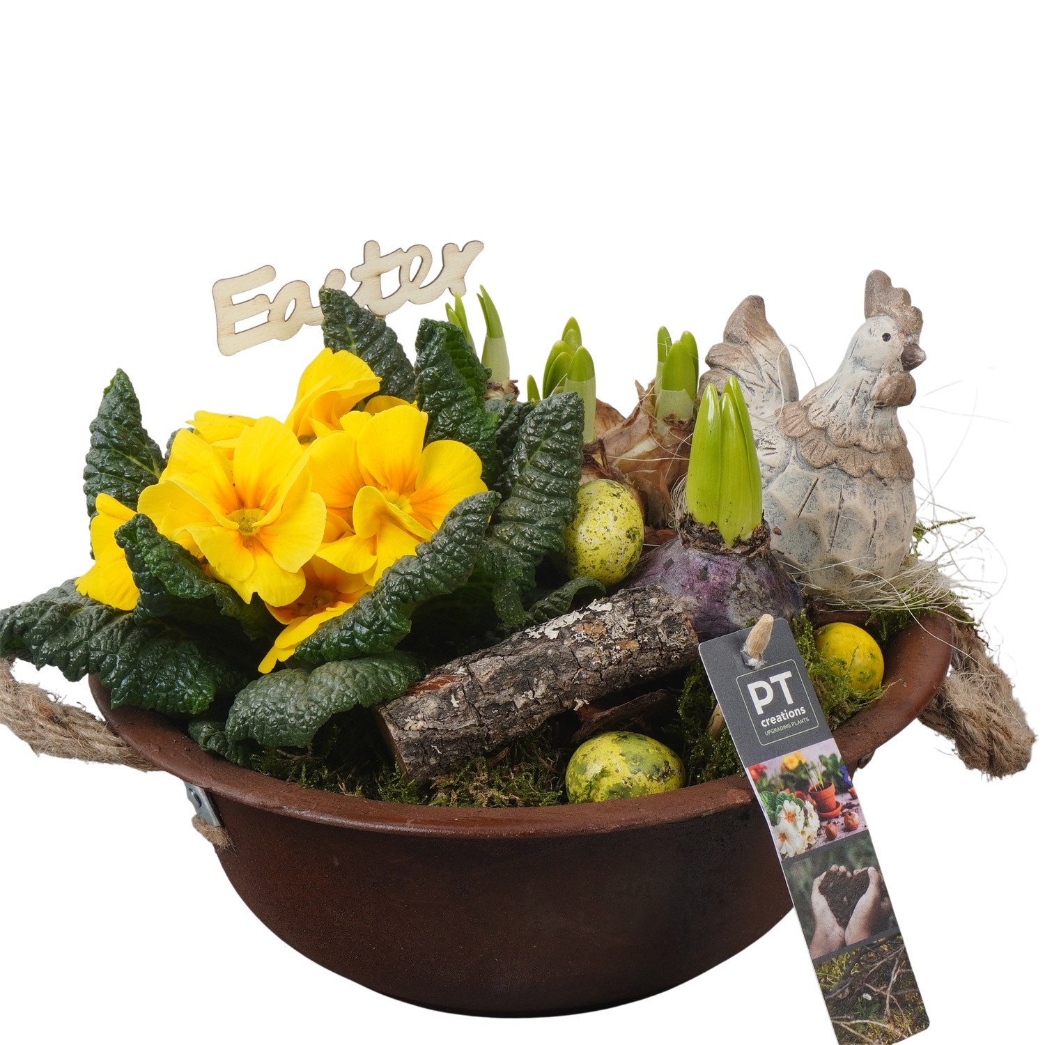 PTBMP5620 Arrangement Easter Bulbs Mix in zink schaal, D 24