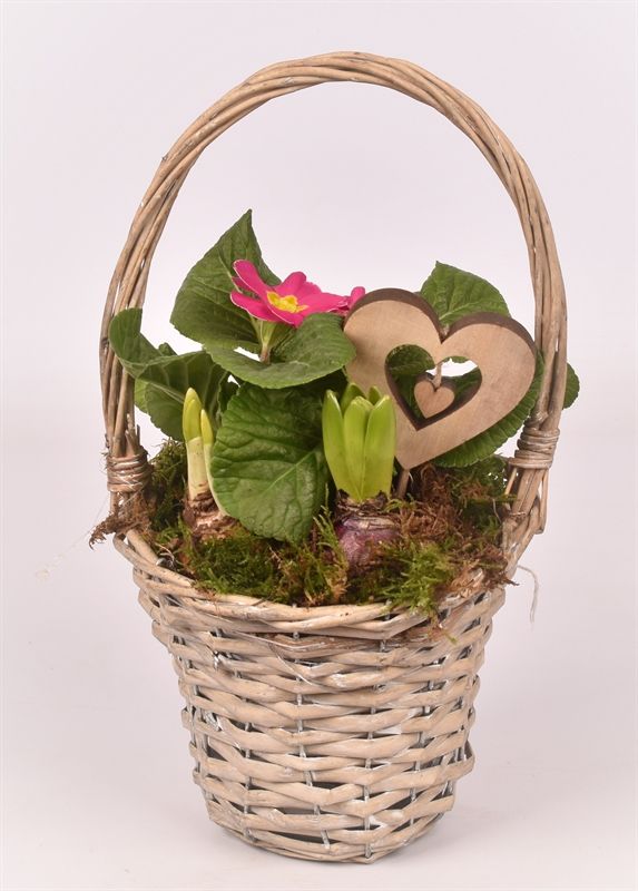 Wilg hengselmand gy 17cm, D 15