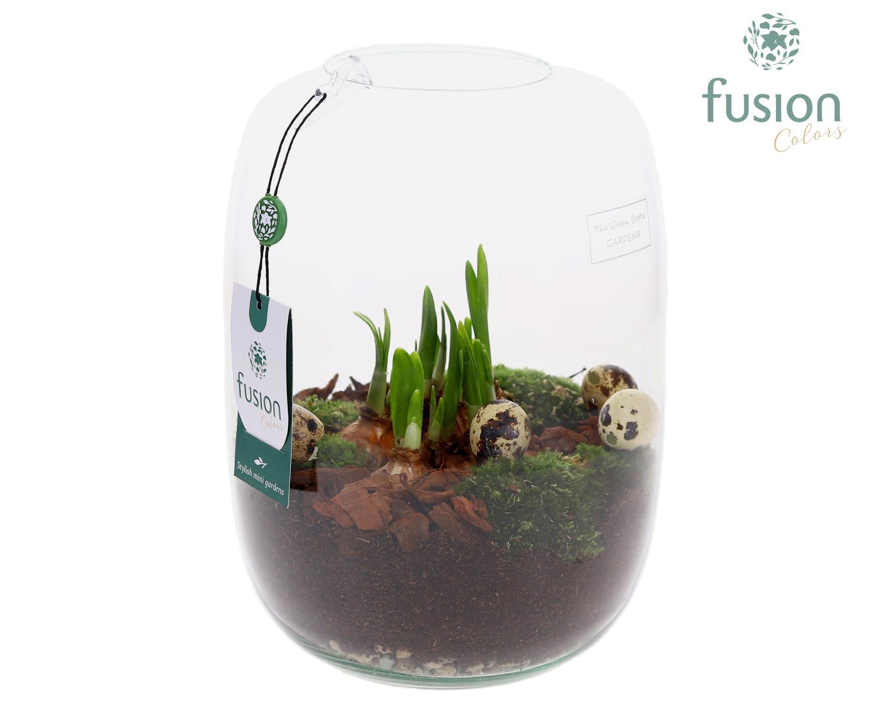 Green Bottle Isabella Large Pasen met Narcissen, D 19