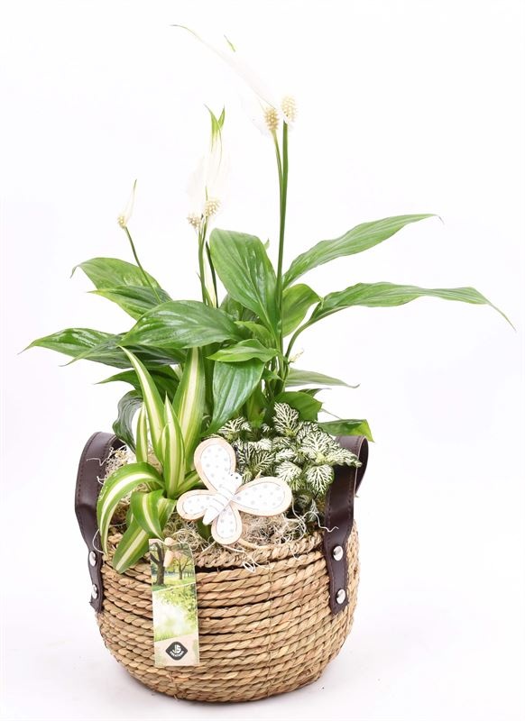 Touwmand met leer handv.18-20cm, D 20