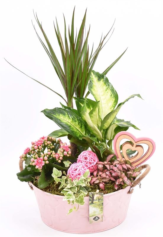 Zink schaal roze hart 25cm, D 25