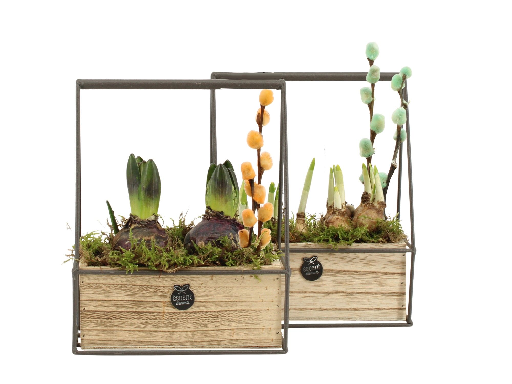 11676: Outdoor spring arrangement, D 16