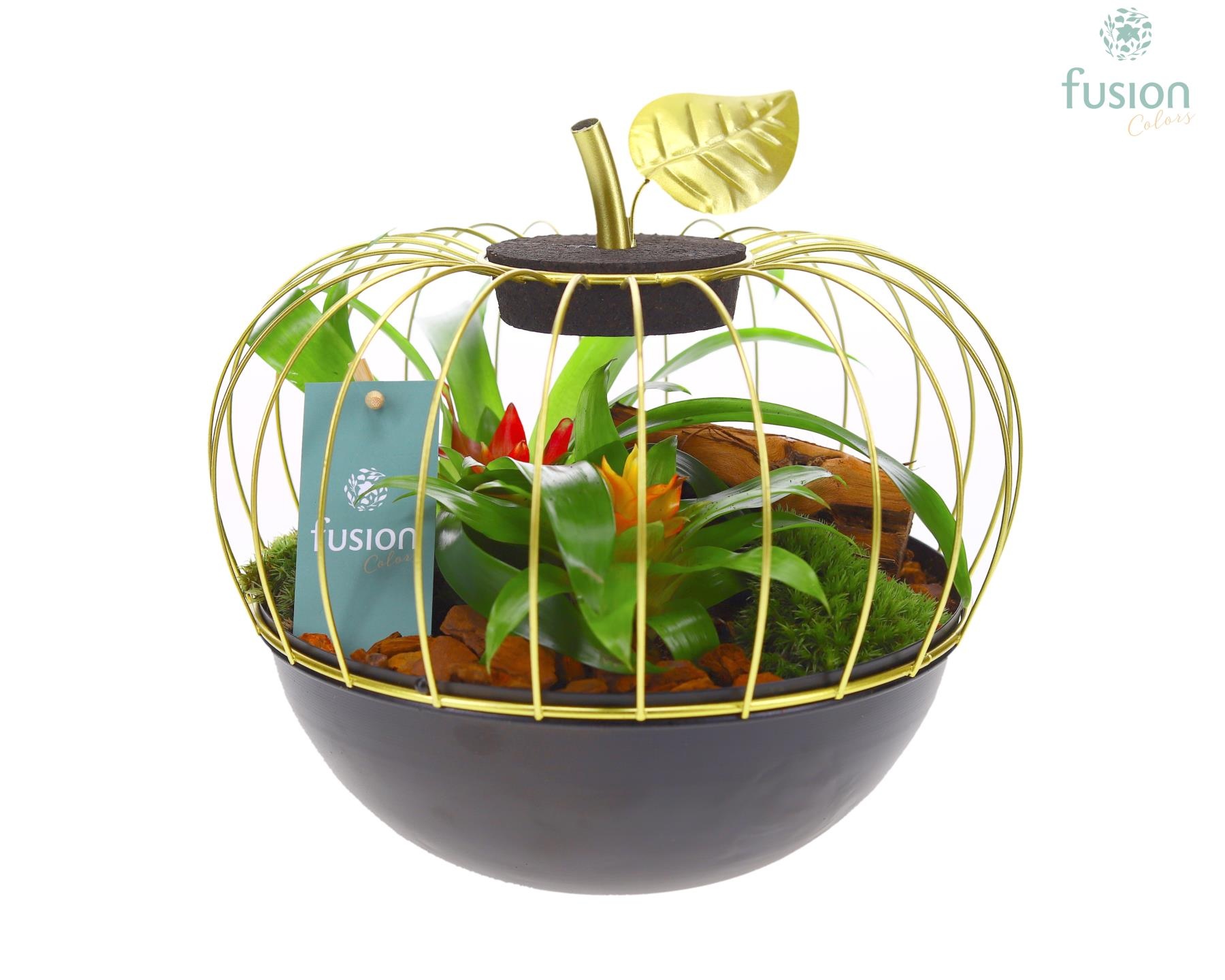 Metaal appel goudzwart Large met Bromelia, D 23