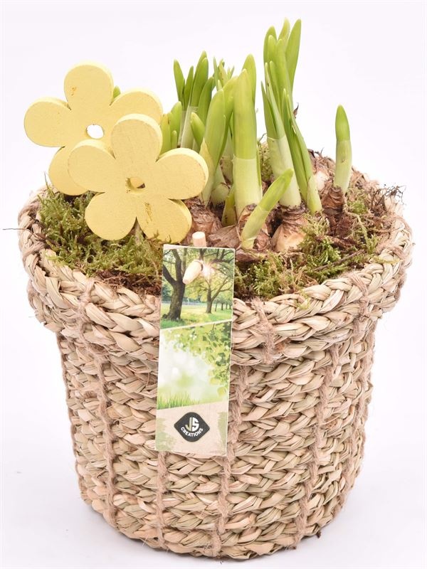 Touwmand met rand 17cm, D 17