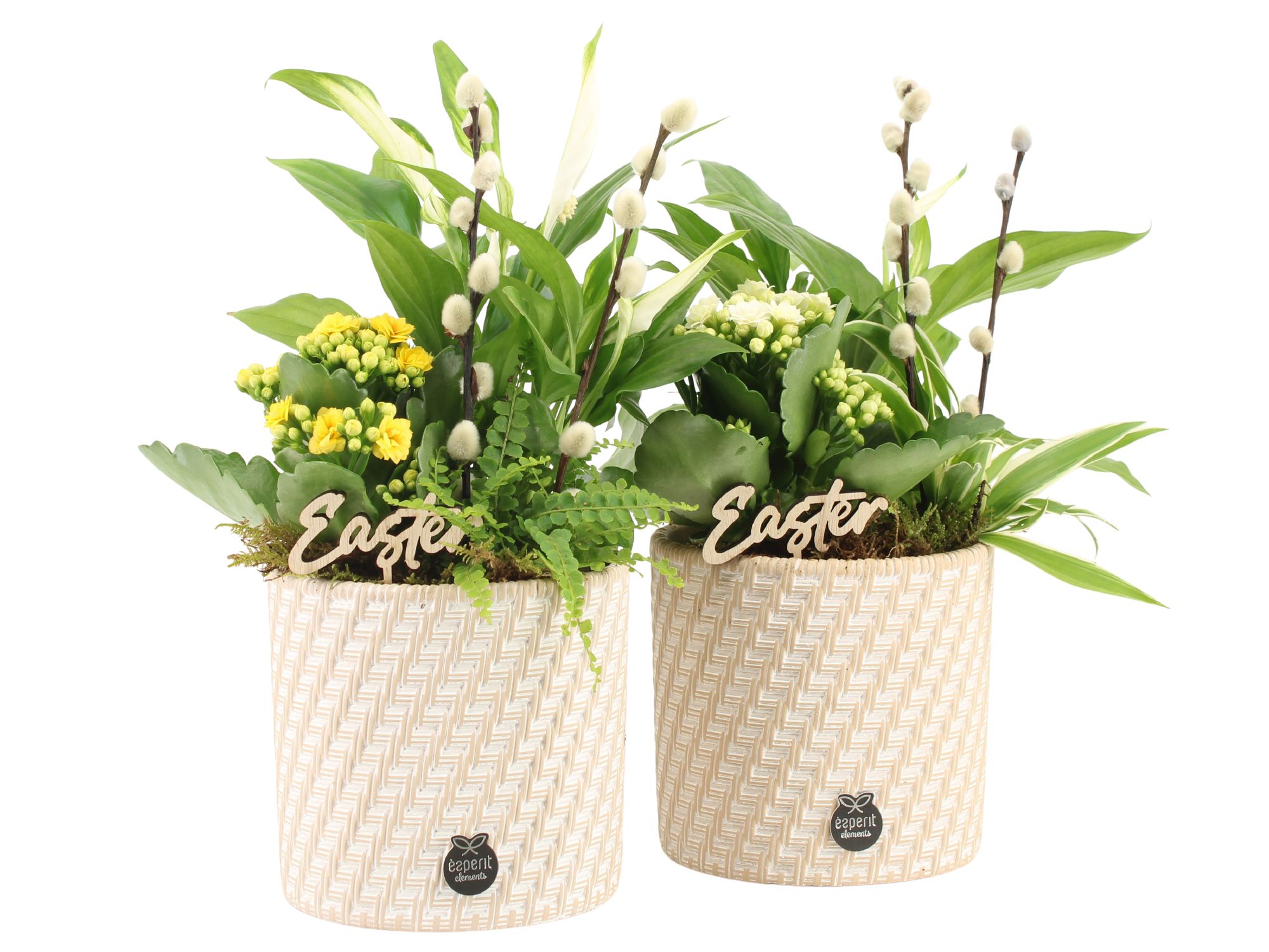 70795: Easter arrangement, D 13