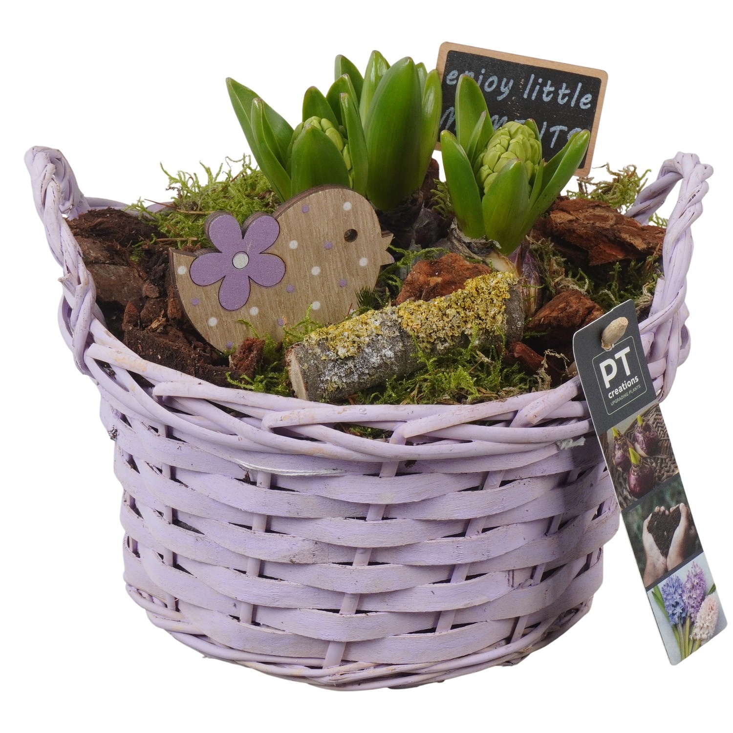 PTHC9171 Arrangement Hyacints in riet mand, D 20