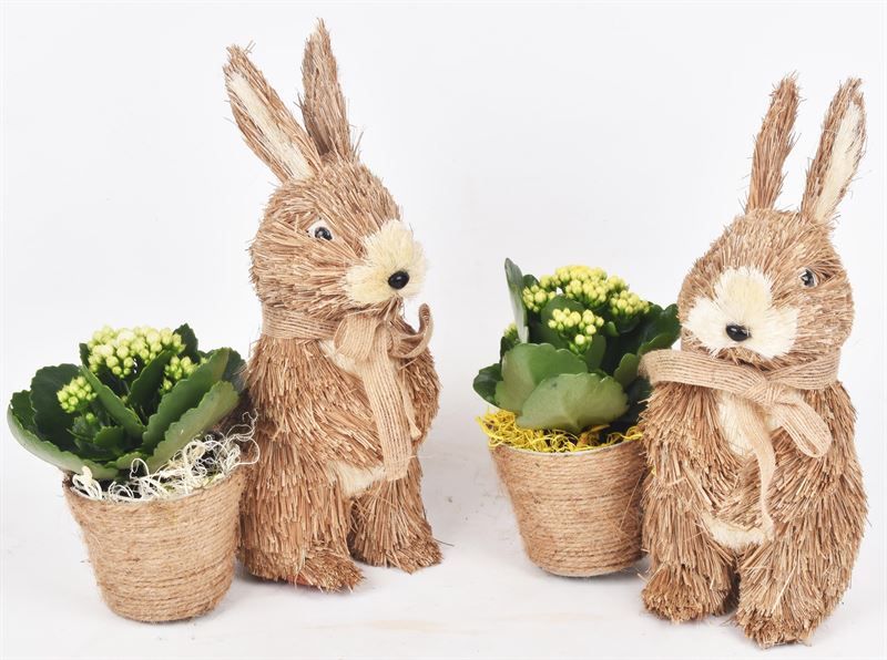 Stro konijn 19x10cm, D 18